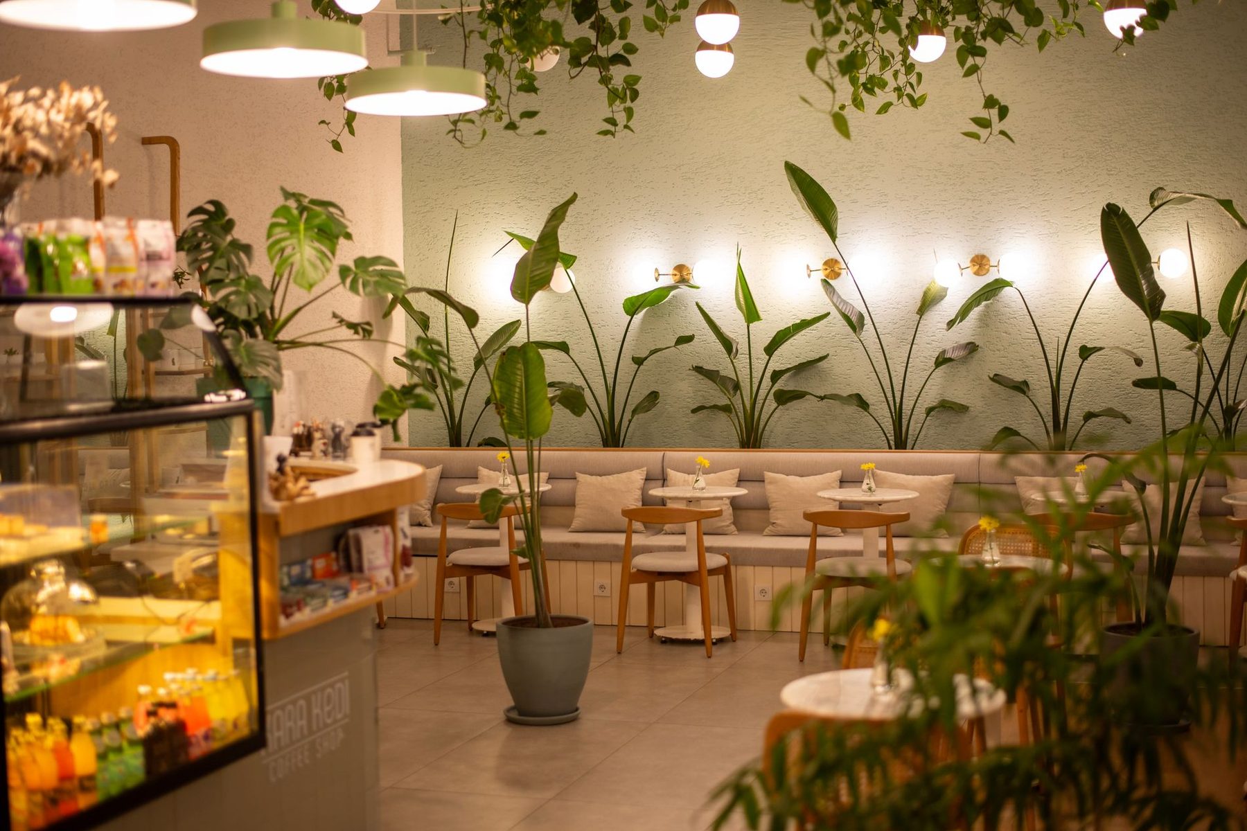 Warm plant filled cafe interior used in the fictional Fieldnote Coffee concept